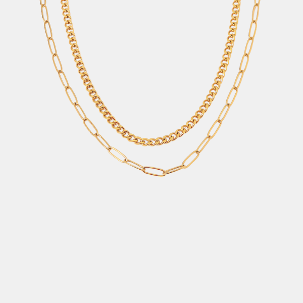 Double Layer Necklace
